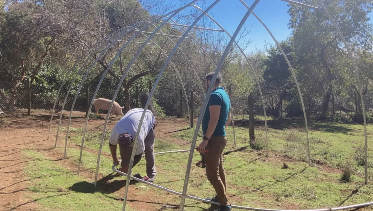 Instalación de la estructura por nuestro equipo en terreno