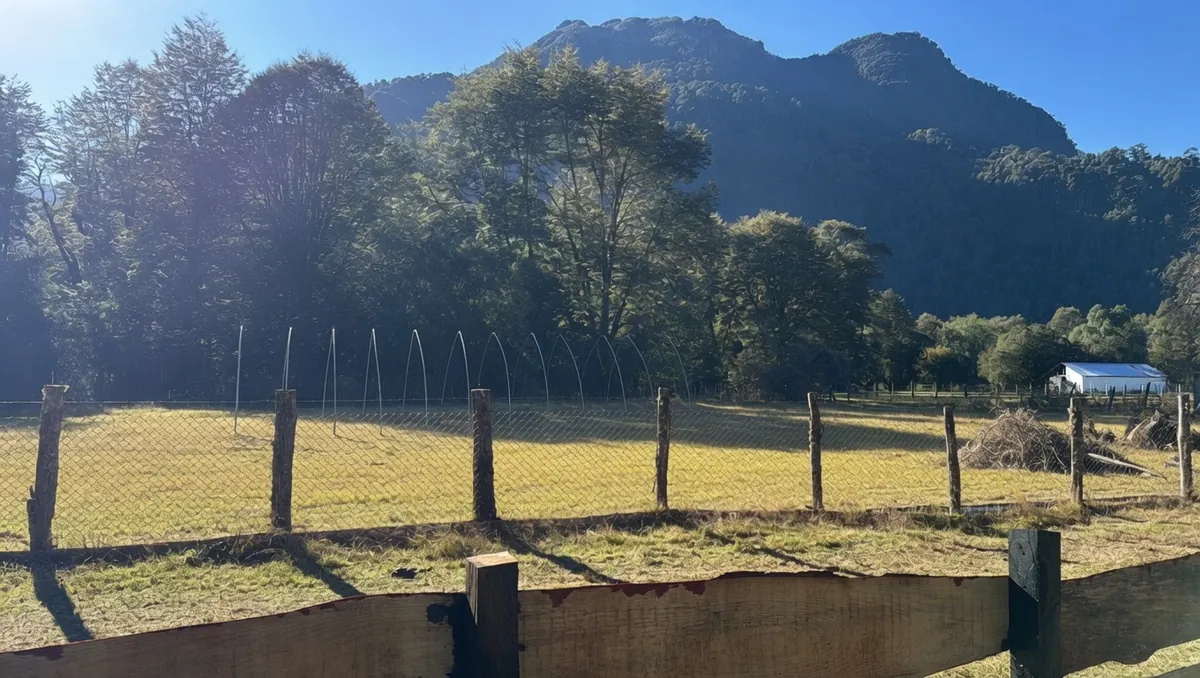 Terreno preparado e inicio de la instalación del invernadero en Peulla